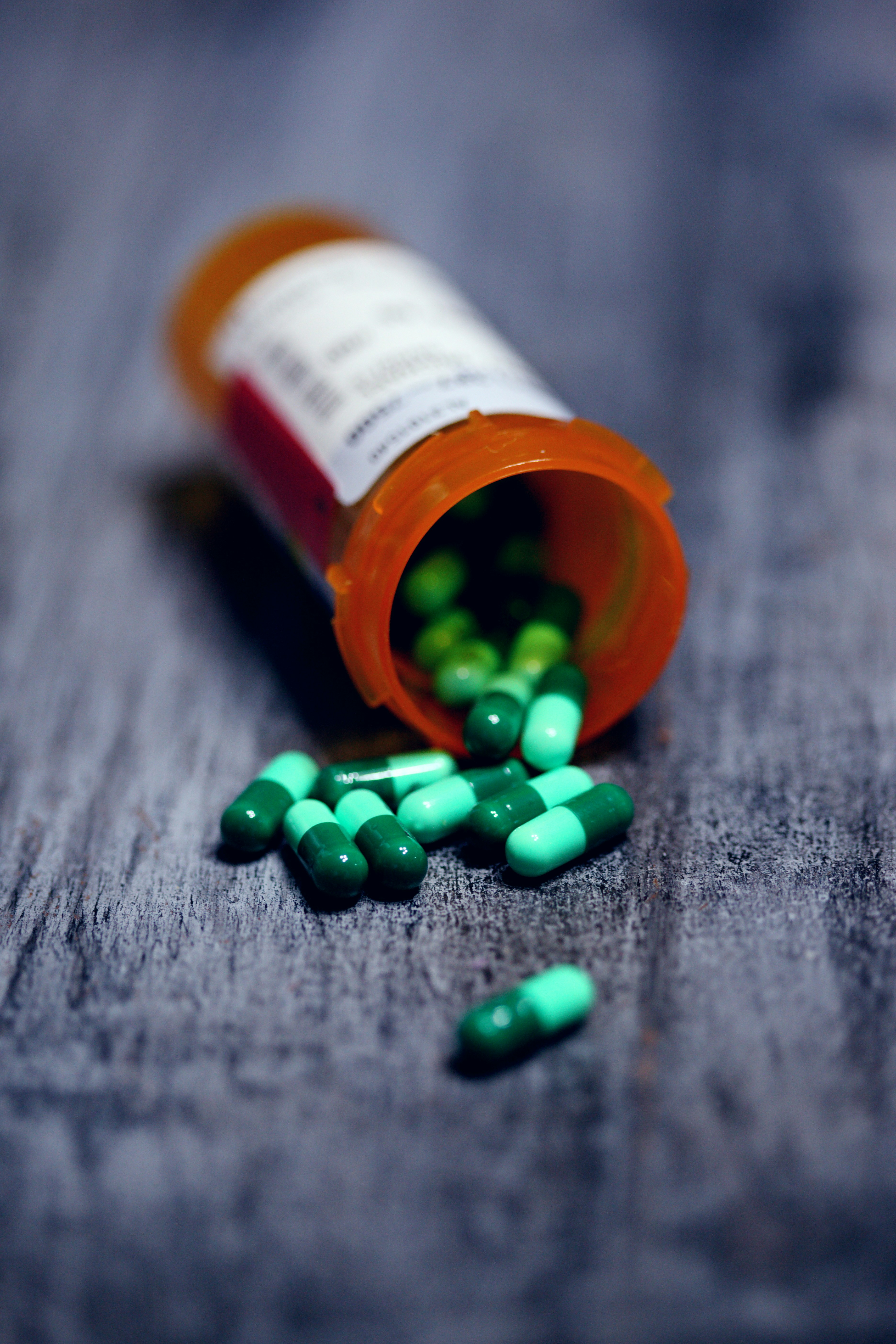 Equine Joint Supplement Therapy